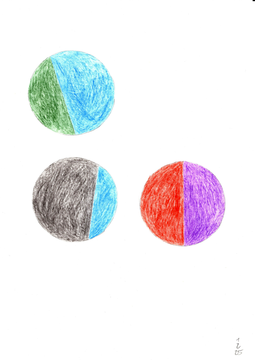 20250201