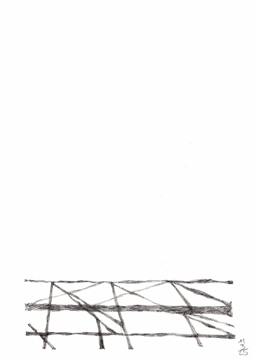20250311