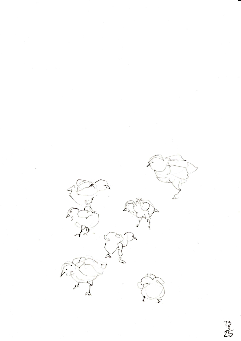 20250313
