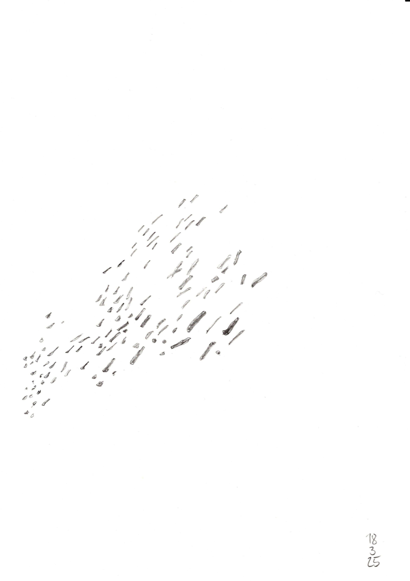 20250318