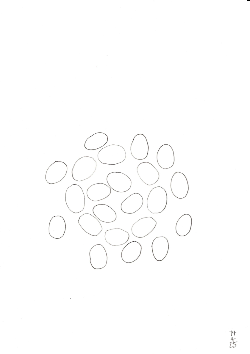 20250414