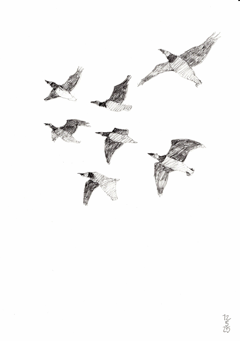20250512