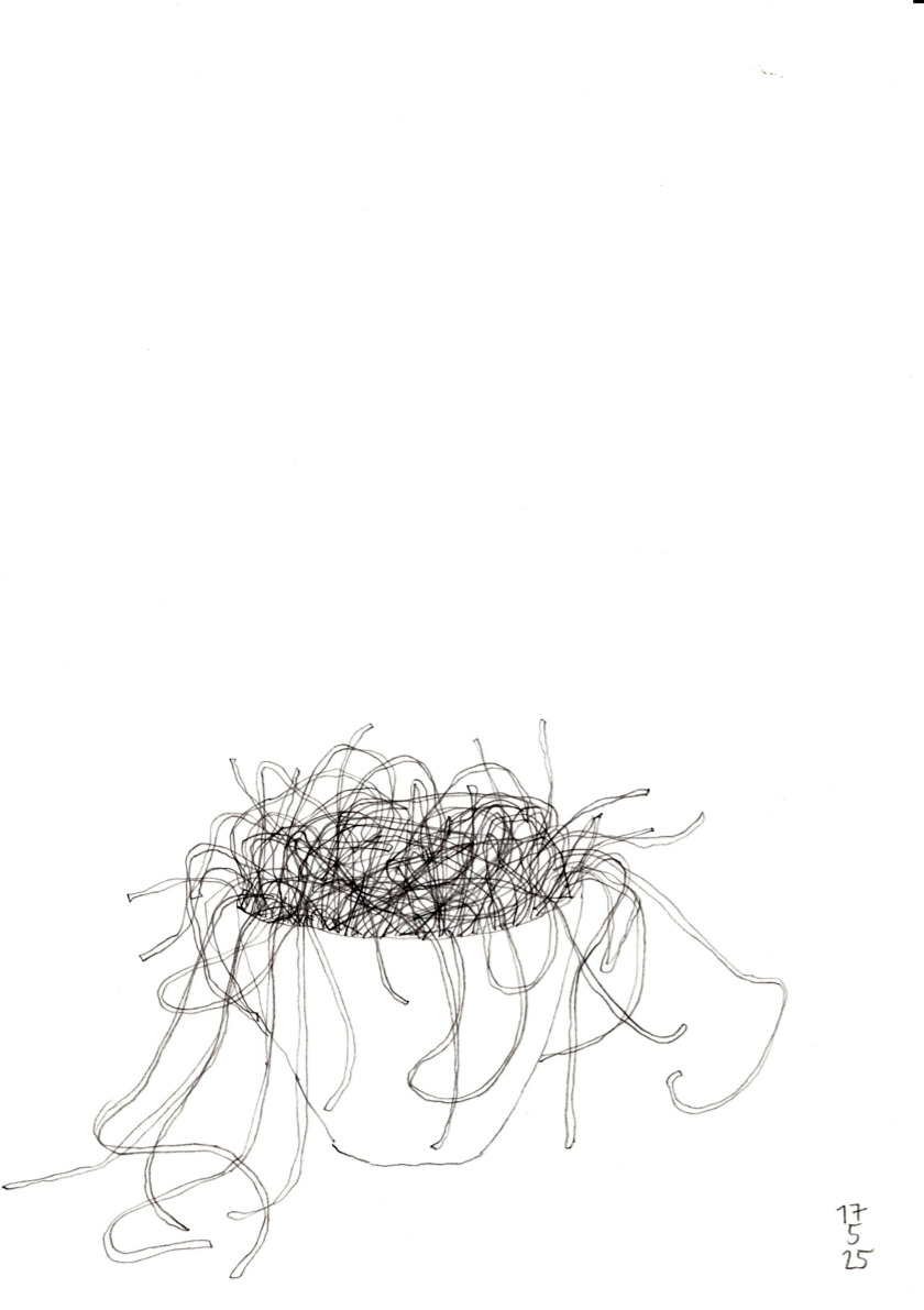20250517